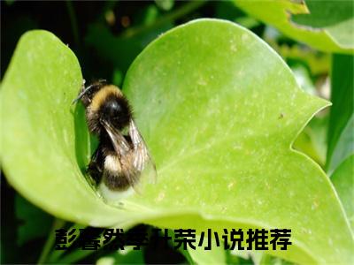 2023热点小说彭馨然季升荣，彭馨然季升荣免费章节阅读