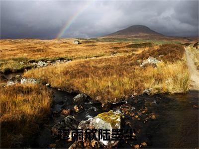 穆雨欣陆墨尘最新章节小说推荐阅读-新书穆雨欣陆墨尘精彩片段阅读