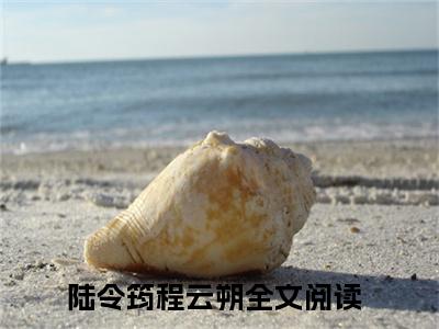 （夫君独宠爱妾?我攻略婆婆来撑腰）全文免费阅读无弹窗大结局_陆令筠程云朔最新章节列表_笔趣阁