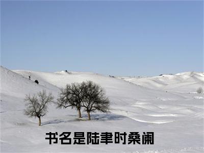 精选小说（陆聿时桑阑）全本阅读-陆聿时桑阑免费阅读-笔趣阁（陆聿时桑阑）