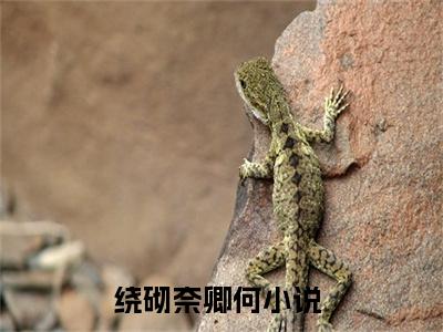 绕砌奈卿何小说（绕砌奈卿何)全文免费阅读无弹窗大结局_绕砌奈卿何完整版最新阅读_笔趣阁（绕砌奈卿何）