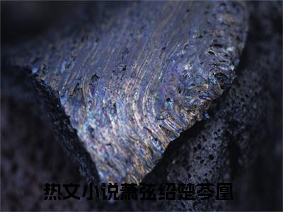 萧弦绍楚芩凰全文免费阅读无弹窗大结局_（萧弦绍楚芩凰）完整版全文在线赏析