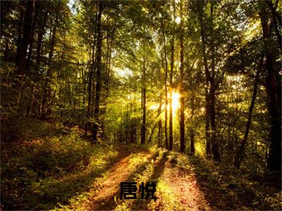 清穿之嫡福晋日常(唐悦)全文免费阅读无弹窗大结局_(清穿之嫡福晋日常)最新章节列表_唐悦