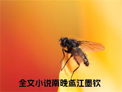 南晚鸢江墨钦（南晚鸢江墨钦）全文免费阅读-南晚鸢江墨钦最新章节在线阅读