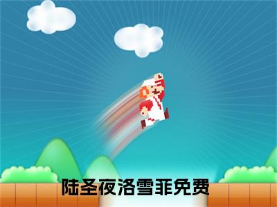 陆圣夜洛雪菲的书名全文免费最后一章在线阅读 陆圣夜洛雪菲全文小说完整版