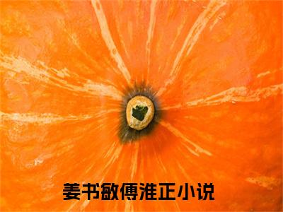 姜书敏傅淮正全文免费阅读-主角为姜书敏傅淮正的小说