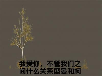 盛晏和柯雪小说全文免费阅读_盛晏和柯雪（我爱你，不管我们之间什么关系）最新章节列表在线阅读
