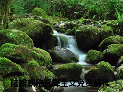 小说（穿书炮灰？我靠心声拯救全家）在线赏析_陆朝朝陆远泽txt小说在线阅读笔趣阁