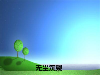 无尘沈婉完整章节阅读-无尘沈婉全文试读