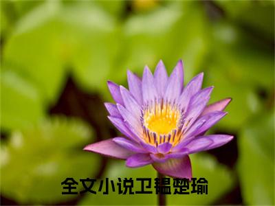 卫韫楚瑜（卫韫楚瑜）全文免费阅读无弹窗大结局_卫韫楚瑜小说免费阅读卫韫楚瑜最新章节列表_笔趣阁（卫韫楚瑜）
