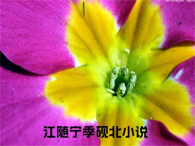 江随宁季砚北（江随宁季砚北）小说第20章第3节讲述的是什么？江随宁季砚北小说在线阅读