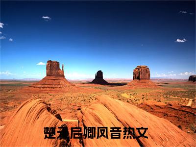 楚元启卿凤音小说全文免费阅读（楚元启卿凤音）全文免费阅读无弹窗大结局_（楚元启卿凤音）楚元启卿凤音结局最新章节列表_笔趣阁（楚元启卿凤音）