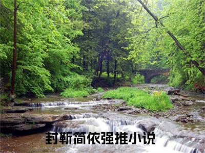 封靳简依(封靳简依)全文免费阅读无弹窗大结局_(封靳简依)封靳简依全文免费完结版阅读(封靳简依)