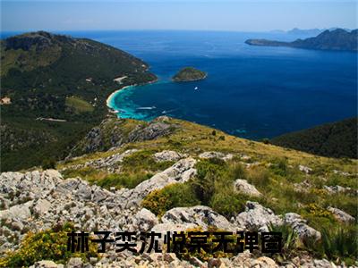 林子奕沈悦棠小说（林子奕沈悦棠最新全章节大结局）林子奕沈悦棠全文阅读