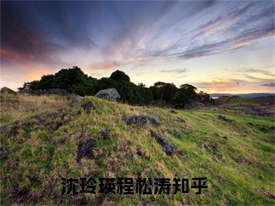 沈玲瑛程松涛小说免费阅读沈玲瑛程松涛小说全文免费阅读_（这一世，我们放过彼此吧）沈玲瑛程松涛最新章节列表笔趣阁