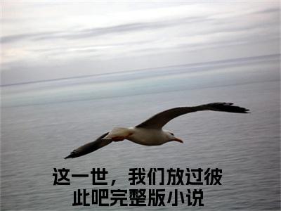 这一世，我们放过彼此吧全文免费阅读无弹窗大结局-沈玲瑛程松涛在线阅读