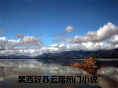 裴西辞苏云瑶免费阅读（裴西辞苏云瑶）全文免费阅读无弹窗大结局_裴西辞苏云瑶免费阅读最新章节列表_笔趣阁（裴西辞苏云瑶）