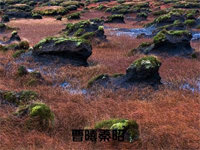 曹曦秦昭（穿越捡来的相公五岁半）全文免费阅读无弹窗大结局_曹曦秦昭最新章节列表_笔趣阁（穿越捡来的相公五岁半）