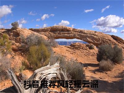 风轻摇云深小说(风轻摇云深)免费阅读无弹窗,小说名字是：风轻摇云深的小说在线阅读无删减