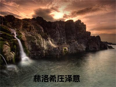 林洛希庄泽意小说免费阅读-林洛希庄泽意无广告全文阅读