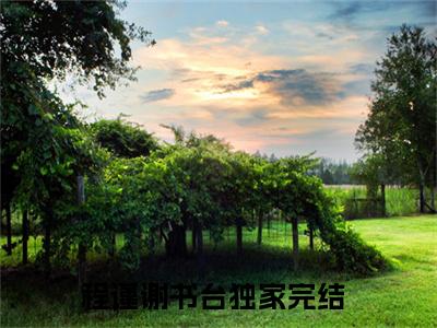 程谨谢书台免费阅读无弹窗，程谨谢书台小说大结局全文免费阅读