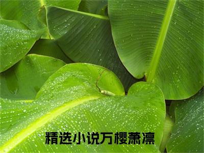 万樱萧凛是什么小说-小说美人倾城，腹黑锦衣卫霸心狂宠全文阅读
