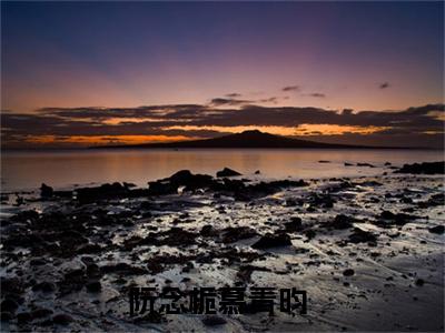私藏读物《阮念栀慕青昀》小说全文免费阅读-微小说（阮念栀慕青昀）完整版阅读