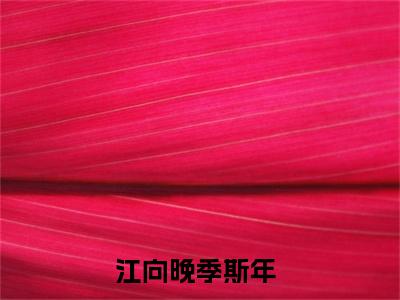 （江向晚季斯年）全文免费阅读无弹窗大结局_（江向晚季斯年阅读无弹窗）江向晚季斯年最新章节列表_笔趣阁（江向晚季斯年）