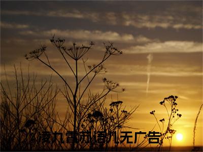 凌九霄苏语儿小说热门榜单免费阅读，凌九霄苏语儿抖音新上热文分享_笔趣阁