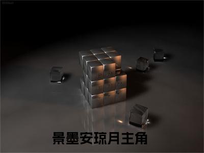 景墨安琼月全文免费阅读无弹窗大结局_ 景墨安琼月热门章节在线阅读笔趣阁