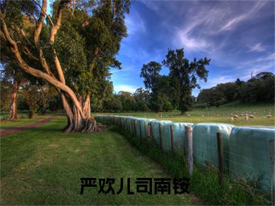 严欢儿司南铵全网首发小说-严欢儿司南铵无广告免费试读