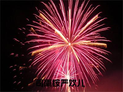 司南铵严欢儿（司南铵严欢儿小说全文）在线阅读-司南铵严欢儿全文免费阅读无弹窗大结局