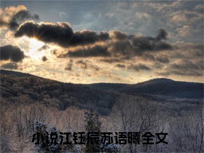 (热推新书)（江钰辰苏语曦）全文免费阅读无弹窗大结局-江钰辰苏语曦全文阅读无弹窗