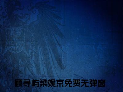 顾寻屿梁婉京小说全文免费阅读无弹窗大结局_顾寻屿梁婉京最新章节列表