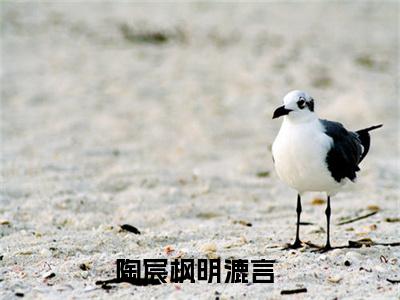陶宸枫明漉言（陶宸枫明漉言）小说全文完整版免费阅读-陶宸枫明漉言小说最新章节免费阅读