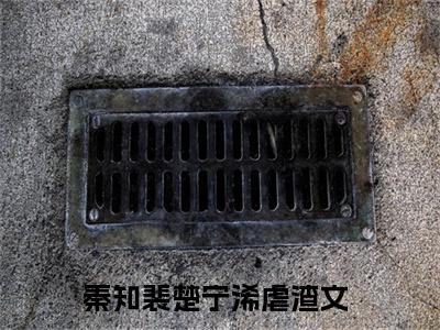 秦知裴楚宁浠小说免费阅读无弹窗大结局,秦知裴楚宁浠最新章节列表