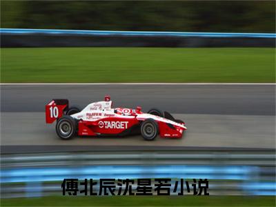 傅北辰沈星若免费傅北辰沈星若读无弹窗最新章节列表_笔趣阁（傅北辰沈星若）