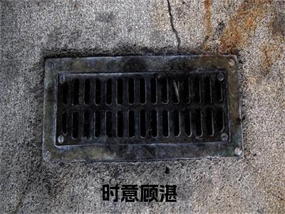 时意顾湛(时意顾湛)全文免费阅读无弹窗大结局_时意顾湛最新章节列表_笔趣阁