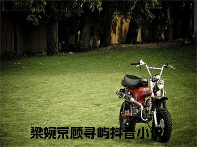 梁婉京顾寻屿（梁婉京顾寻屿）是什么小说-梁婉京顾寻屿小说全文阅读