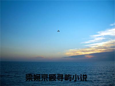 梁婉京顾寻屿（梁婉京顾寻屿）全文免费阅读无弹窗大结局_梁婉京顾寻屿最新章节列表_笔趣阁（梁婉京顾寻屿）