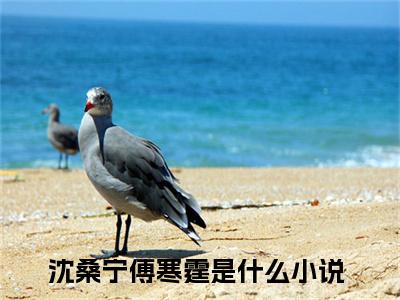 沈桑宁傅寒霆小说（沈桑宁傅寒霆）全文免费阅读无弹窗大结局_（沈桑宁傅寒霆）结局最新章节列表_笔趣阁