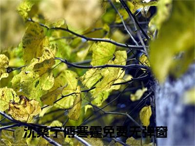 沈桑宁傅寒霆免费沈桑宁傅寒霆读无弹窗最新章节列表_笔趣阁（沈桑宁傅寒霆）