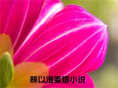 林以澄姜煊全文免费阅读无弹窗大结局_ （林以澄姜煊完结）林以澄姜煊小说最新章节列表