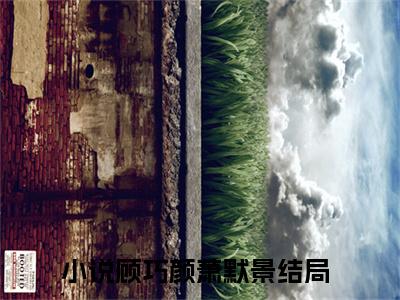 顾巧颜萧默景阅读无弹窗大结局_（顾巧颜萧默景阅读无弹窗）最新章节列表_笔趣阁（顾巧颜萧默景）
