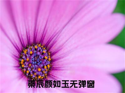 秦辰颜如玉免费阅读（混沌不灭经）全文免费阅读无弹窗大结局_秦辰颜如玉免费阅读最新章节列表_笔趣阁
