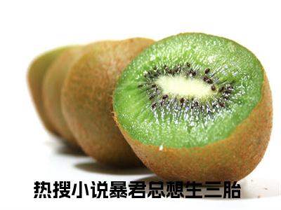 暴君总想生三胎（君墨临苏落落）全文小说-君墨临苏落落小说最新章节免费阅读