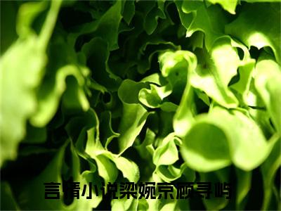 梁婉京顾寻屿阅读无弹窗大结局_（梁婉京顾寻屿阅读无弹窗）梁婉京顾寻屿最新章节列表_笔趣阁（梁婉京顾寻屿）
