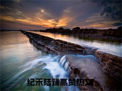 （纪禾陆臻）全文无弹窗阅读-小说主角叫什么纪禾陆臻