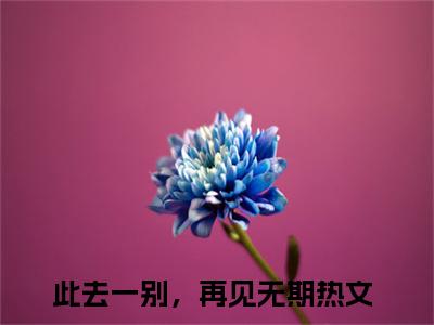 （此去一别，再见无期）全文免费阅读无弹窗大结局_沈昭曦裴行商免费小说最新章节列表笔趣阁（此去一别，再见无期）