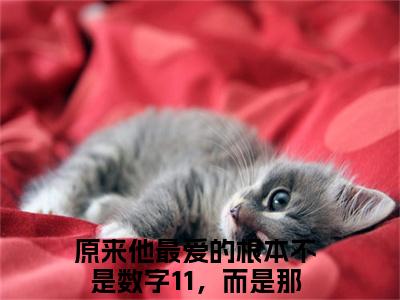 原来他最爱的根本不是数字11，而是那个女孩（温茜茜霍妄骁）全文阅读-2023最火热点小说原来他最爱的根本不是数字11，而是那个女孩最新更新